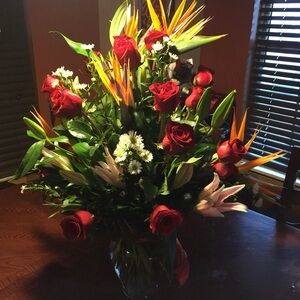 Meet your Posher, Nora